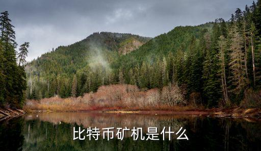 比特幣礦機是什么，比特幣挖礦機是什么謝謝