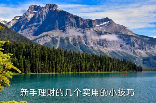 新手怎么學(xué)理財技巧，新手理財?shù)膸讉€實用的小技巧