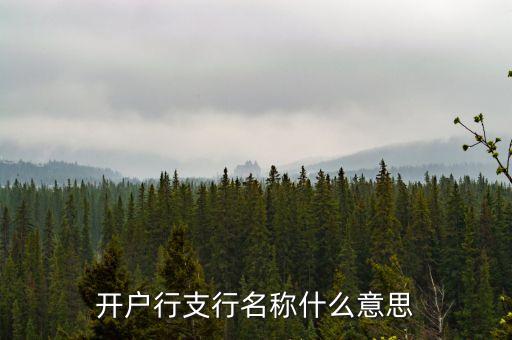 開戶行和開戶支行名稱是什么，開戶行支行名稱是什么啊