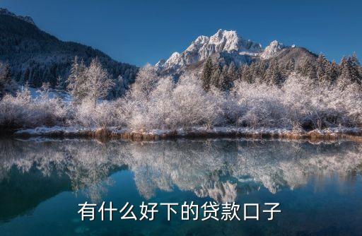 有什么好下的貸款口子