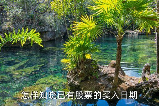 股怎么查買入時(shí)間確認(rèn)，怎么查詢買股票的日期