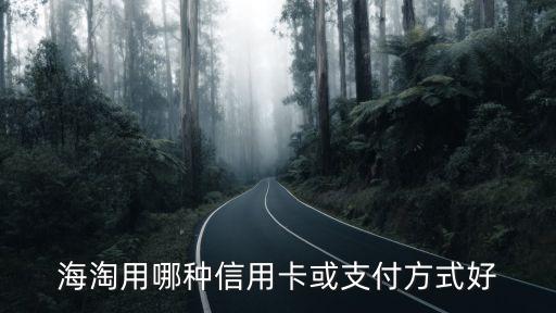 海淘時用什么信用卡支付寶，海淘用哪種信用卡或支付方式好
