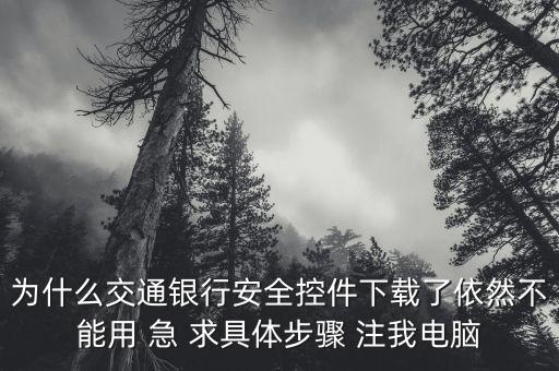 為什么交通銀行安全控件下載了依然不能用 急 求具體步驟 注我電腦