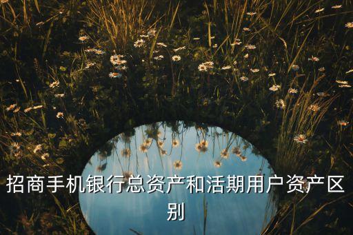 銀行賬戶總資產(chǎn)是什么，招商手機(jī)銀行總資產(chǎn)和活期用戶資產(chǎn)區(qū)別