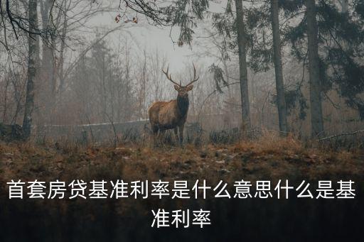 首套房貸基準(zhǔn)利率是什么意思什么是基準(zhǔn)利率