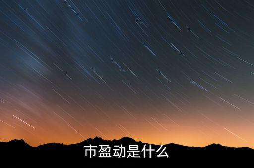 市盈動是什么