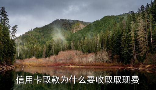 信用卡取款手續(xù)費什么意思，手續(xù)費是什么誰能告訴我一下