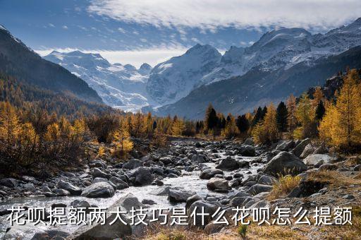 螞蟻花唄有什么建議，500的螞蟻花唄能買甚么我想提升信用想買東西不知道買啥好