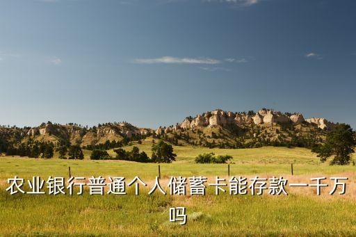 什么銀行卡能存1000萬，農(nóng)業(yè)銀行普通個人儲蓄卡能存款一千萬嗎