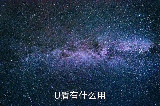 u盾有什么用，U盾有什么用