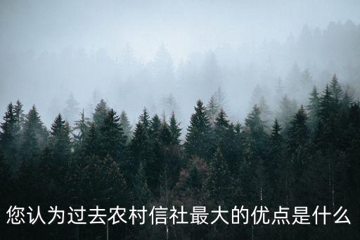 您認(rèn)為過(guò)去農(nóng)村信社最大的優(yōu)點(diǎn)是什么