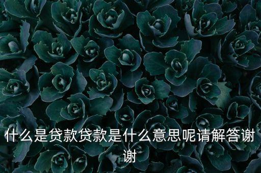 什么是貸款貸款是什么意思呢請(qǐng)解答謝謝