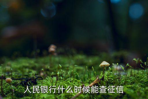 人民銀行什么時候能查征信