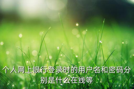 個人網(wǎng)上銀行登錄時的用戶名和密碼分別是什么在線等