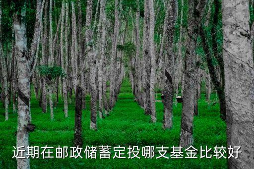 近期在郵政儲(chǔ)蓄定投哪支基金比較好