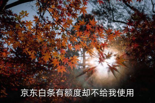 京東白條有額度卻不給我使用