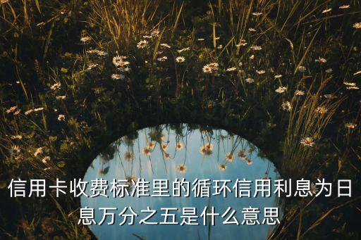 信用卡收費標準里的循環(huán)信用利息為日息萬分之五是什么意思