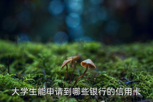 大學(xué)生能申請到哪些銀行的信用卡