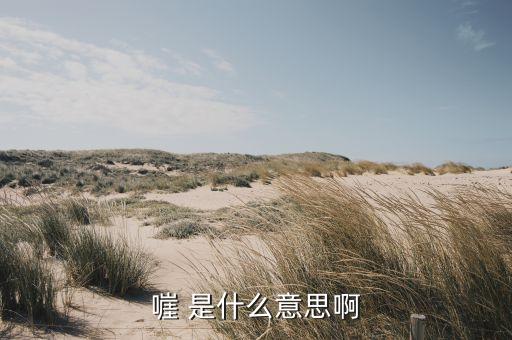 多頭授信是什么意思，嘊 是什么意思啊