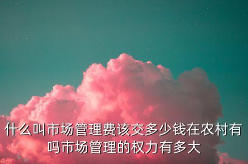 什么叫市場管理費該交多少錢在農(nóng)村有嗎市場管理的權力有多大