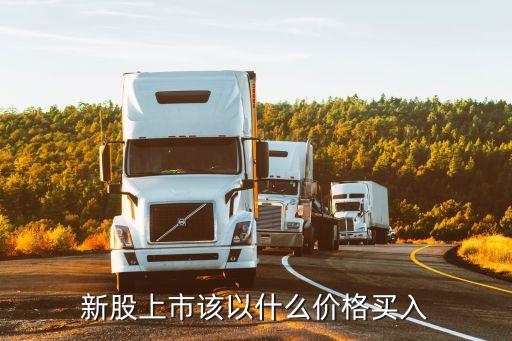 股票用什么價(jià)格買入，請(qǐng)問(wèn)股票買入時(shí)應(yīng)該在什么價(jià)格最佳
