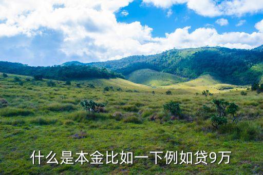 還款的本金是什么，貸款還貸本金怎么算的