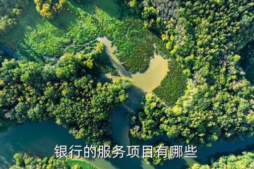 銀行 服務(wù)有內(nèi)容包括什么作用是什么意思，商業(yè)銀行的服務(wù)有哪些