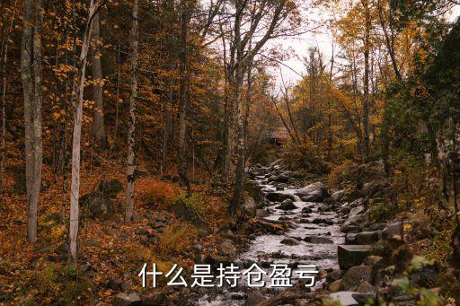 什么是損益比 期貨，什么是持倉盈虧