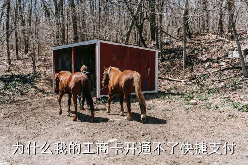 工行卡未開通快捷支付是什么意思，為什么我的工商卡開通不了快捷支付