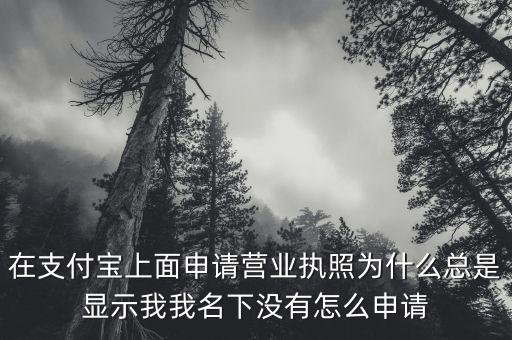 在支付寶上面申請營業(yè)執(zhí)照為什么總是顯示我我名下沒有怎么申請