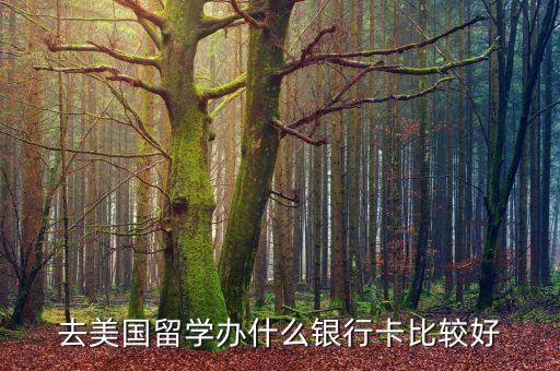 去美國留學(xué)辦什么銀行卡比較好