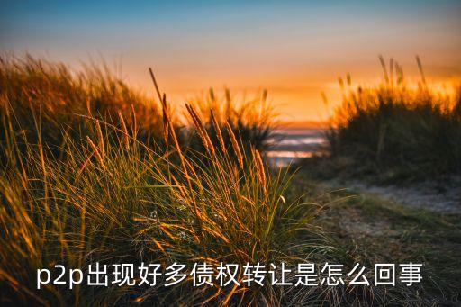 p2p出現(xiàn)好多債權(quán)轉(zhuǎn)讓是怎么回事