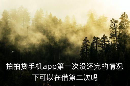拍拍貸手機(jī)app第一次沒還完的情況下可以在借第二次嗎