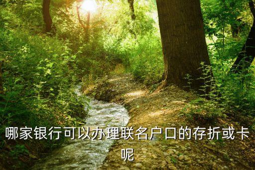 什么銀行開聯(lián)名儲(chǔ)蓄卡，哪個(gè)銀行能辦聯(lián)名儲(chǔ)蓄卡