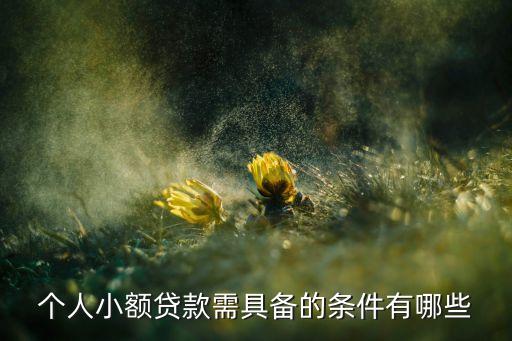 辦小額貸款需要什么，個(gè)人小額貸款需具備的條件有哪些
