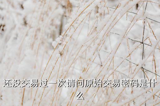 還沒交易過一次請問原始交易密碼是什么