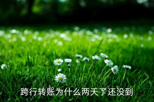 跨行轉(zhuǎn)賬為什么兩天了還沒(méi)到