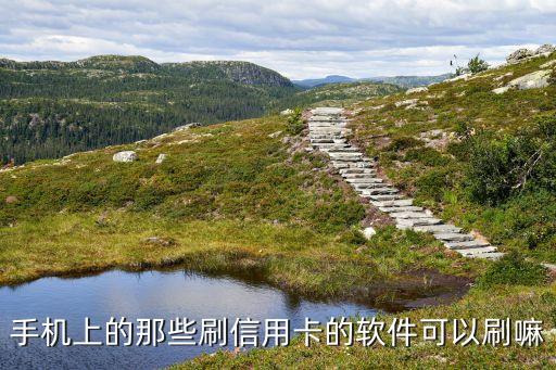 手機(jī)上的那些刷信用卡的軟件可以刷嘛
