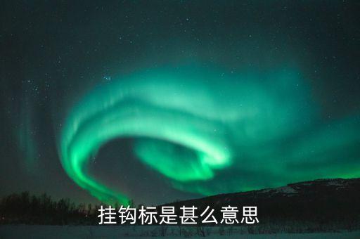 掛鉤標(biāo)是甚么意思