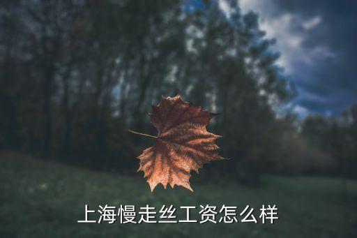 上海慢錢財富怎么樣，上海理財誰知道哪家比較好