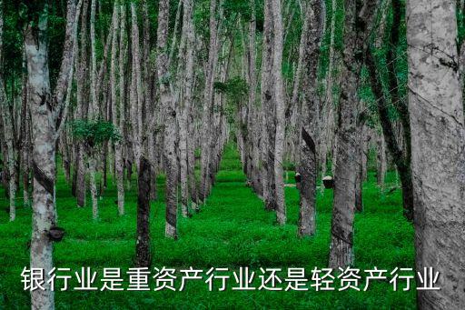 銀行業(yè)是重資產(chǎn)行業(yè)還是輕資產(chǎn)行業(yè)