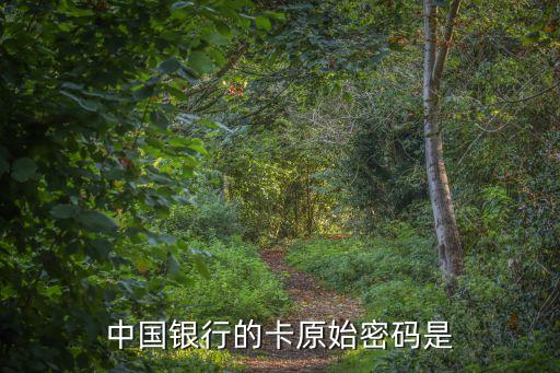 中國銀行的卡原始密碼是