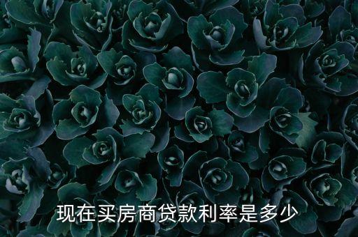 現(xiàn)在買房商貸款利率是多少
