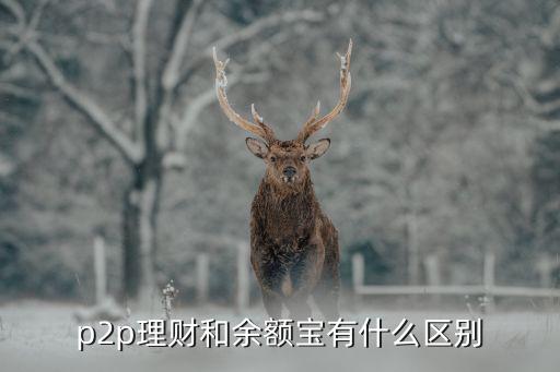 p2p理財(cái)和余額寶有什么區(qū)別