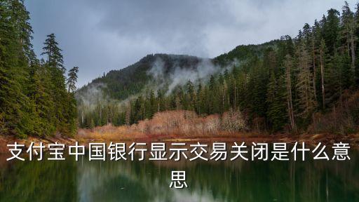 手機支付寶付款關(guān)閉是什么意思，支付寶 交易關(guān)閉什么意思
