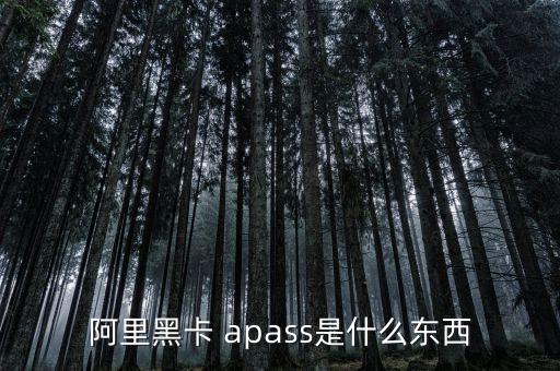 阿里黑卡 apass是什么東西