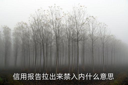 個(gè)人征信禁入什么意思，信用報(bào)告拉出來禁入內(nèi)什么意思