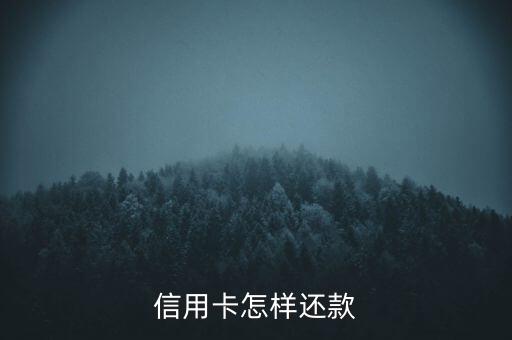 怎么信用卡還信用卡還款金額，信用卡怎么還款