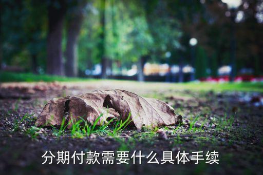 分期付款應(yīng)該注意什么手續(xù)，分期付款買房需要哪些手續(xù)