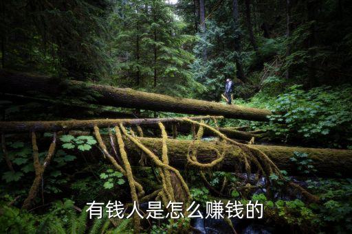 有錢人是怎么賺錢的